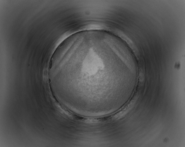 X0000101161473200807181347