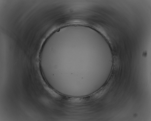 X0000101161474200807181347