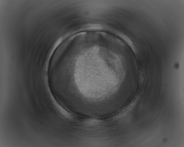 X0000101161475200807181347