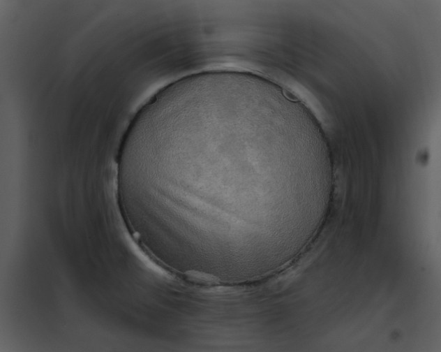 X0000101161476200807181347