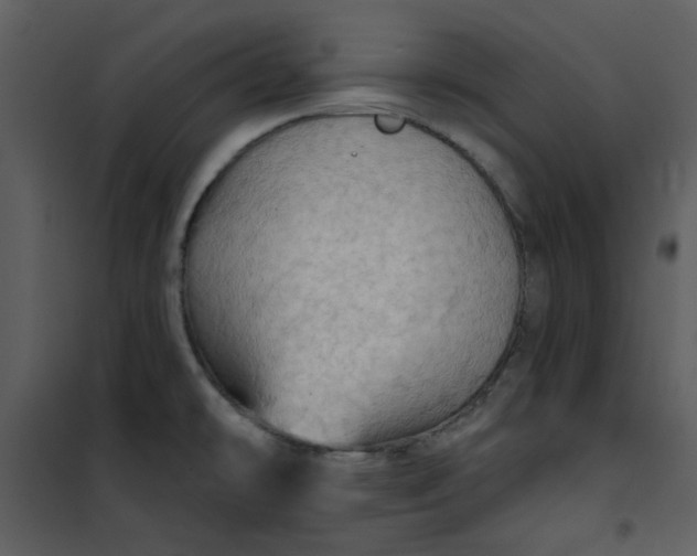 X0000101161478200807181347