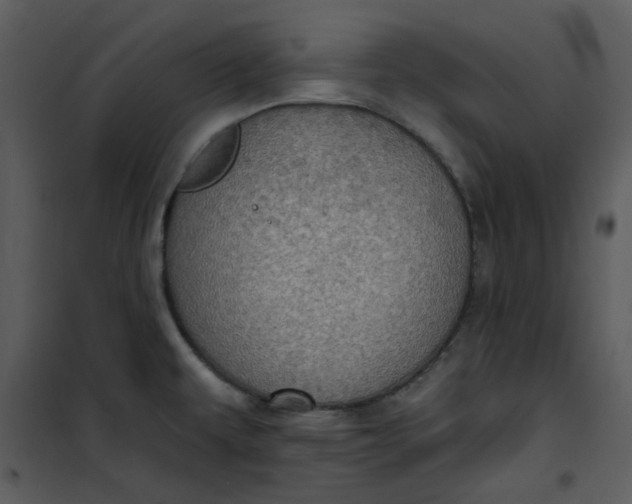 X0000101161479200807181347