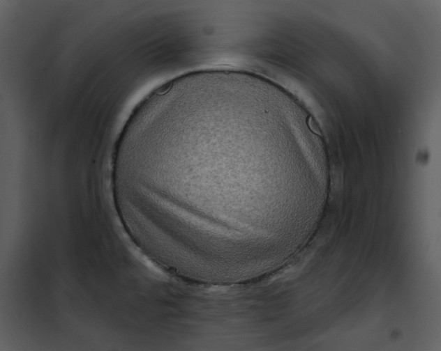 X0000101161480200807181347