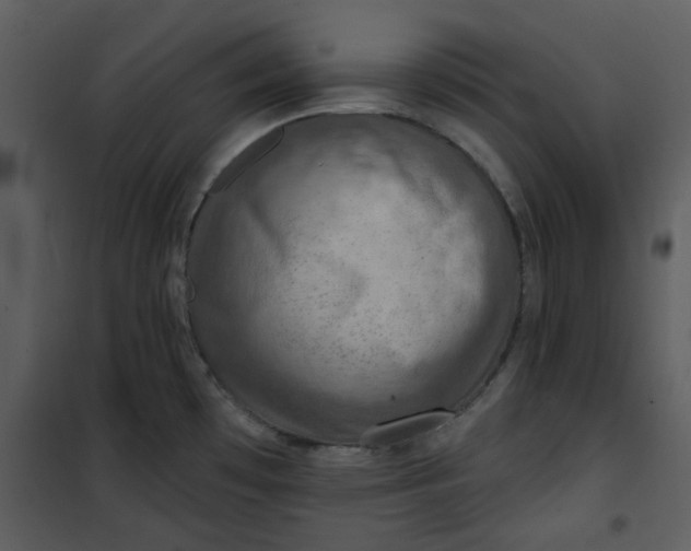 X0000101161481200807181347