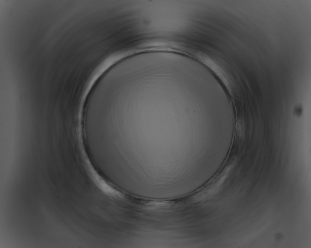 X0000101161482200807181347