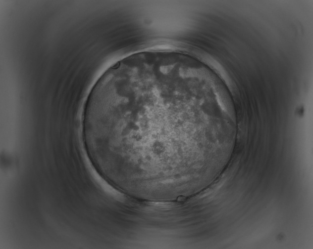 X0000101161483200807181347