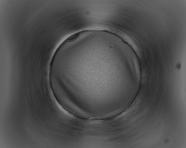 X0000101161484200807181347