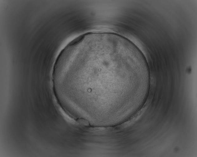 X0000101161485200807181347