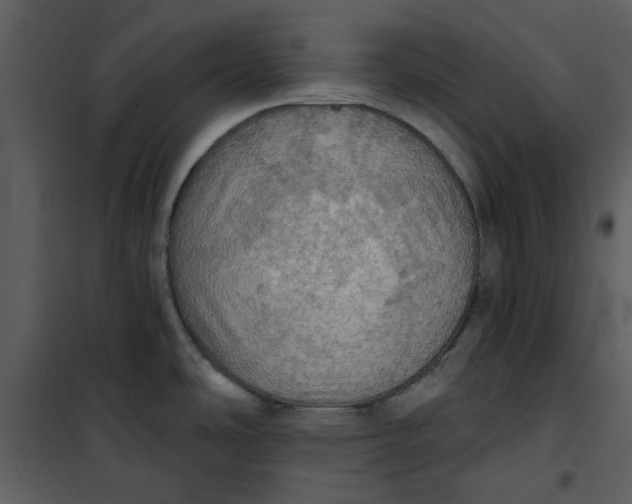 X0000101161486200807181347