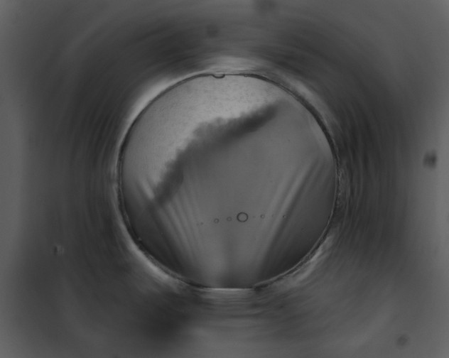 X0000101161487200807181347