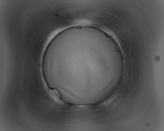 X0000101161488200807181347