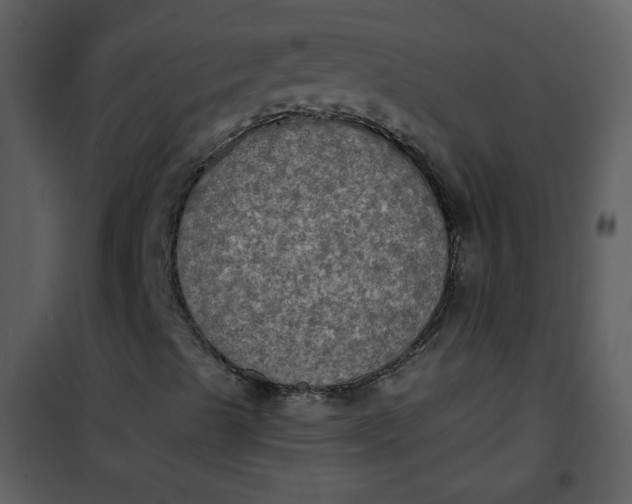 X0000101161489200807181346