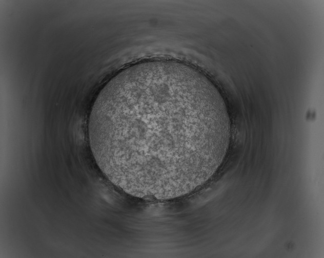 X0000101161490200807181346