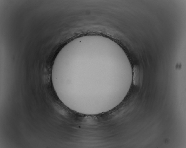 X0000101161491200807181346