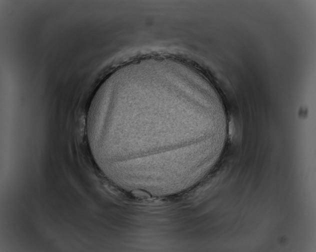 X0000101161492200807181346