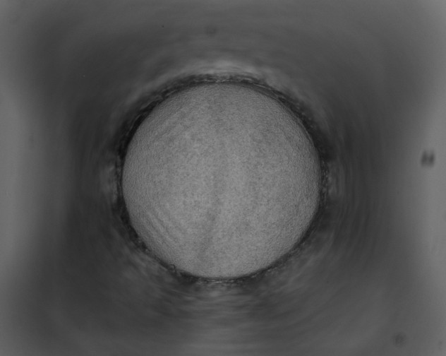 X0000101161493200807181346