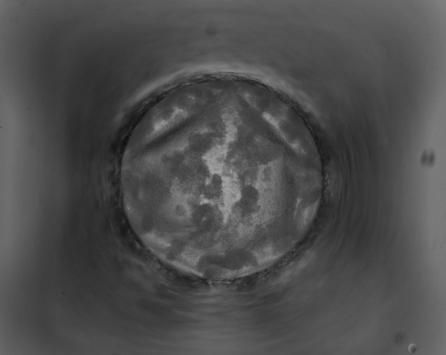 X0000101161494200807181346