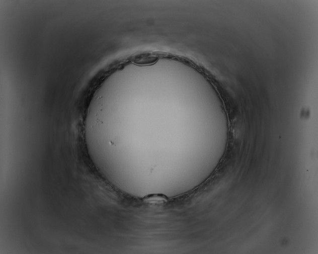 X0000101161495200807181346