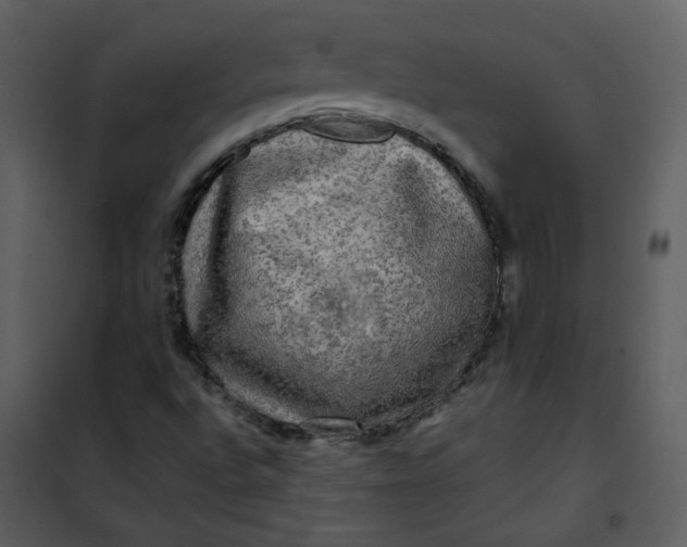 X0000101161496200807181346