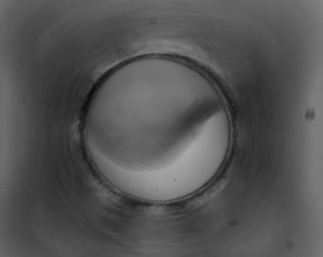 X0000101161497200807181346