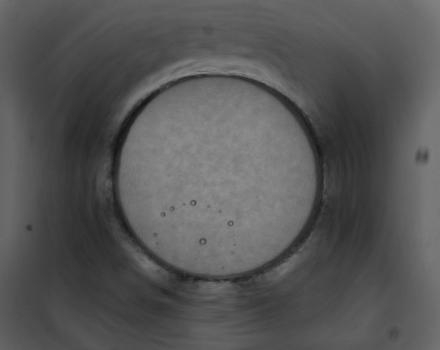 X0000101161498200807181346