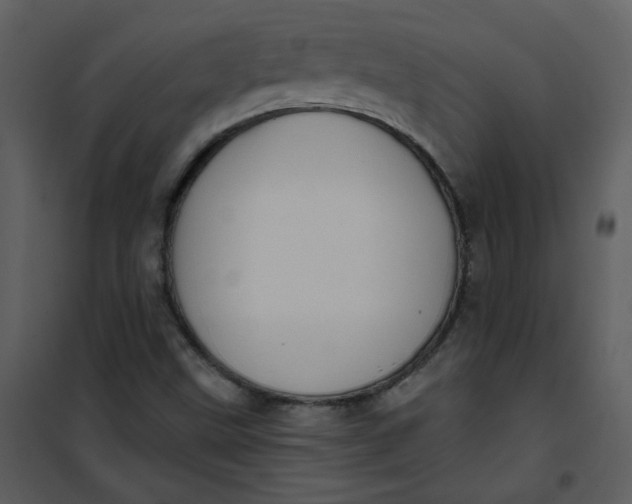 X0000101161499200807181346