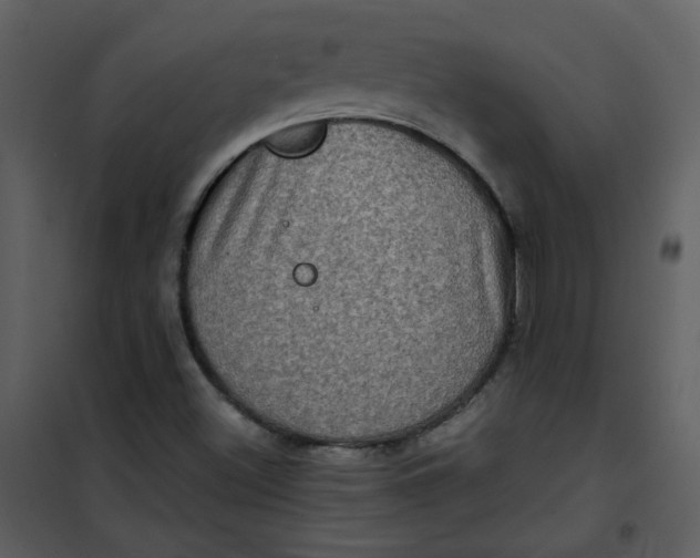 X0000101161500200807181346