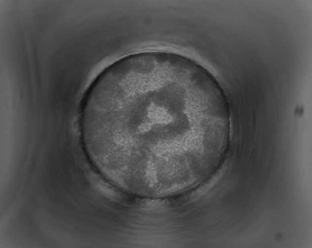 X0000101161501200807181346