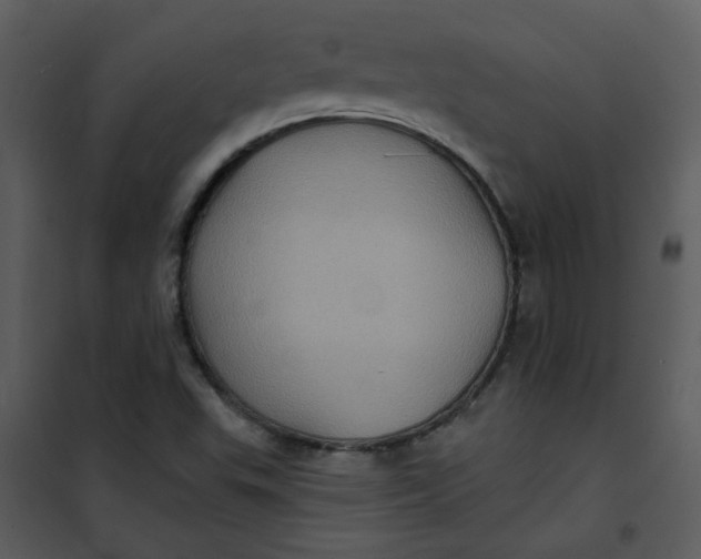 X0000101161503200807181346