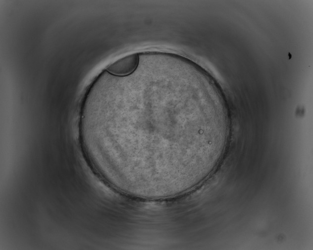 X0000101161504200807181346