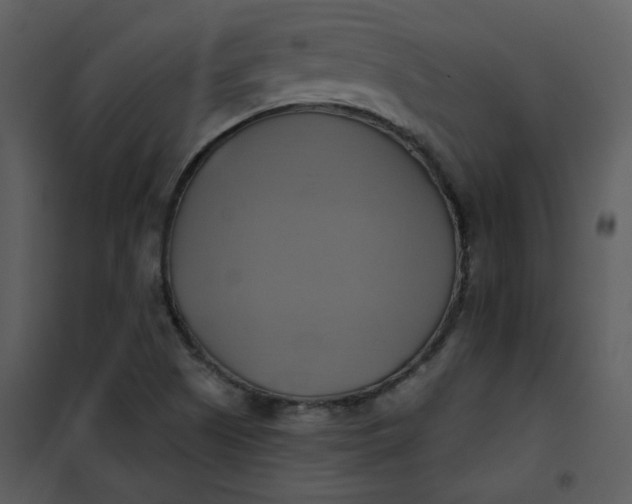 X0000101161505200807181346