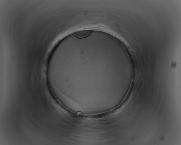 X0000101161506200807181346