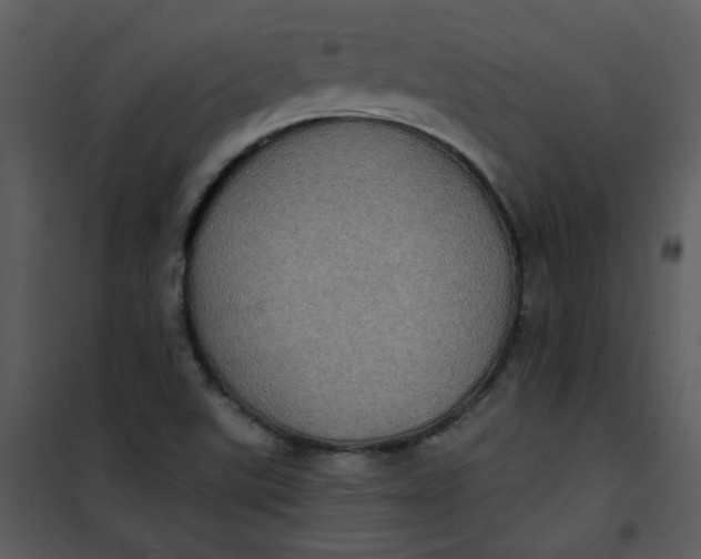 X0000101161507200807181346