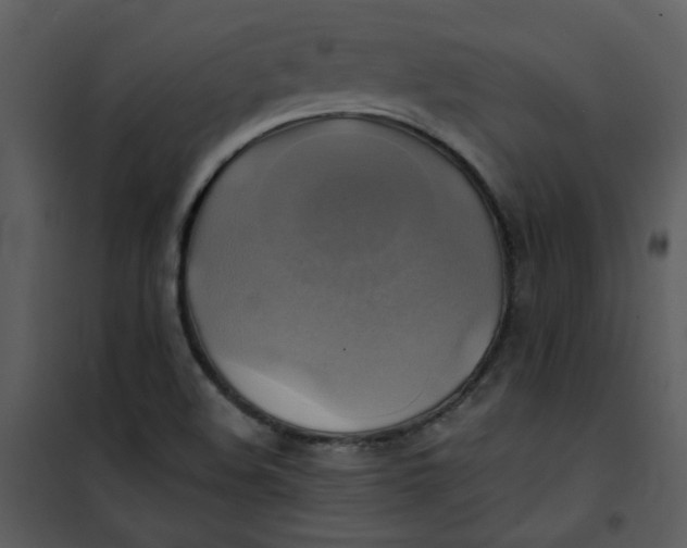 X0000101161508200807181346