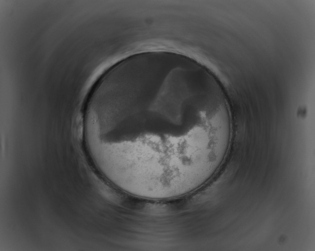 X0000101161509200807181346