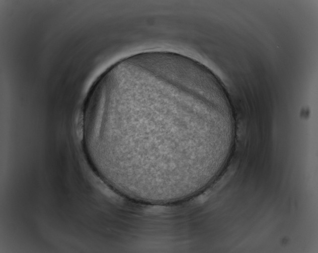 X0000101161510200807181346