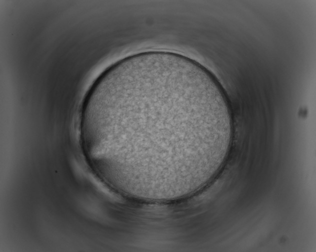 X0000101161511200807181346