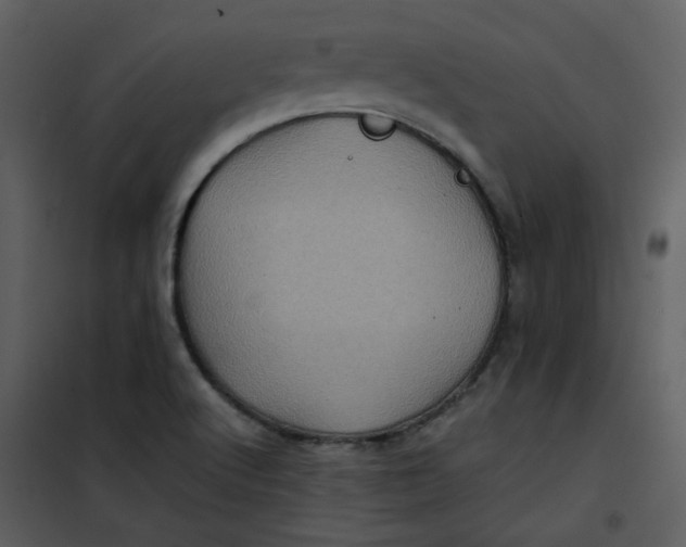 X0000101161512200807181346