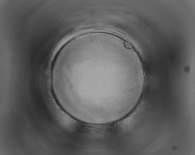 X0000101161514200807181346