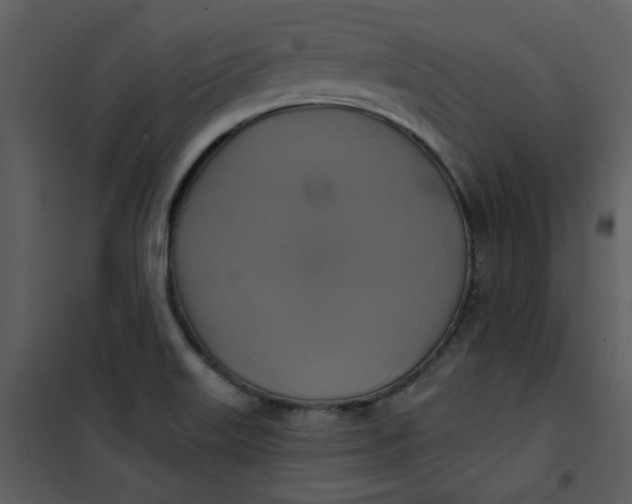 X0000101161515200807181346