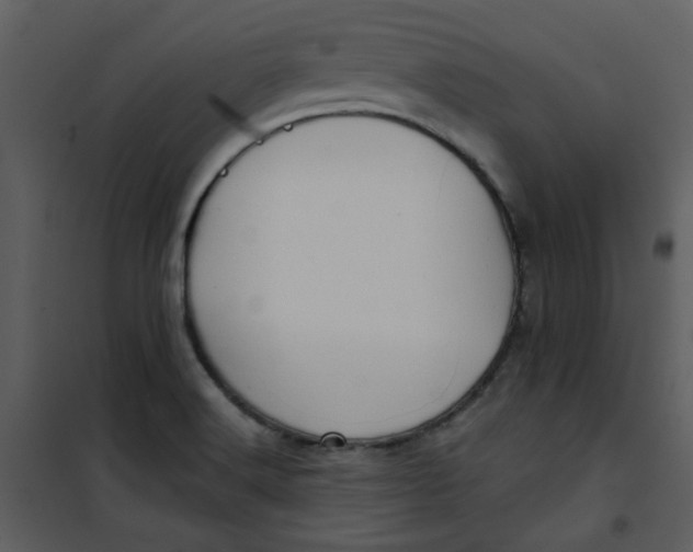 X0000101161516200807181346