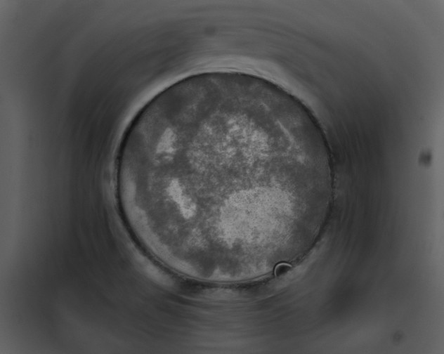 X0000101161517200807181346