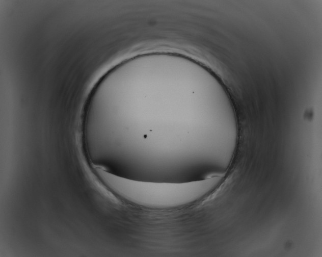 X0000101161518200807181346