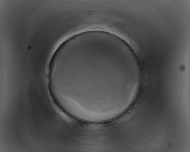 X0000101161519200807181346