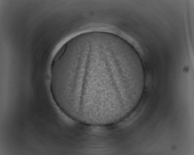 X0000101161520200807181346