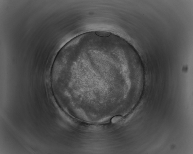 X0000101161521200807181346