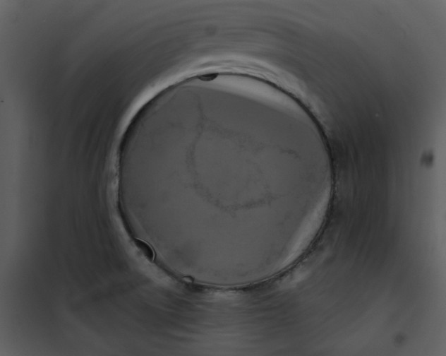 X0000101161522200807181346