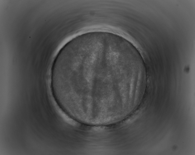 X0000101161523200807181346