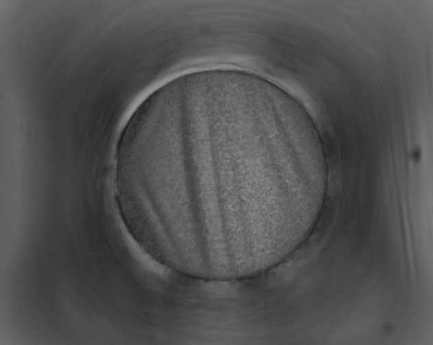 X0000101161524200807181346