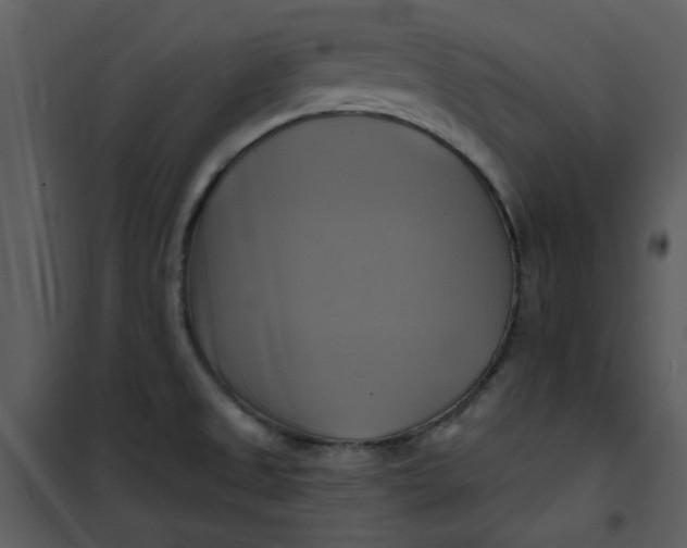 X0000101161525200807181346